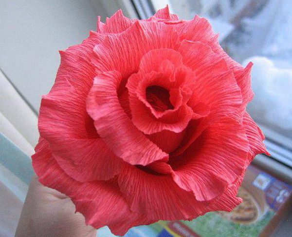 Красная роза из гофрированной бумаги
