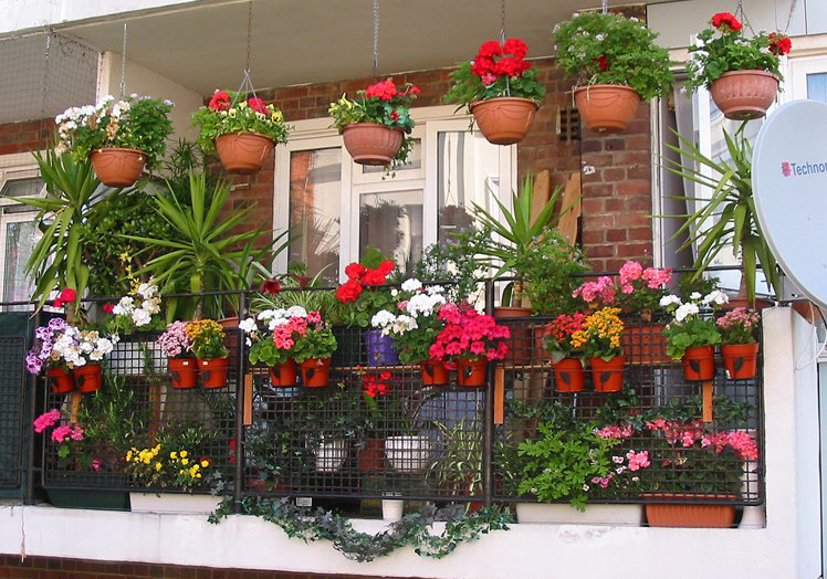 Как украсить балкон квартиры цветами