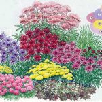 Купаж цветника